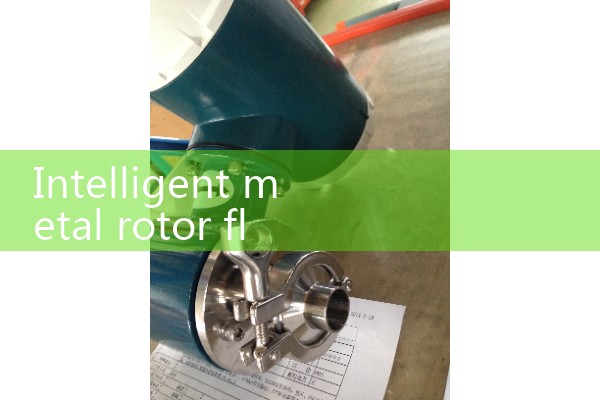 Intelligent metal rotor flowmeter